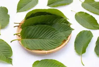 Different kratom strains and their best combinations.