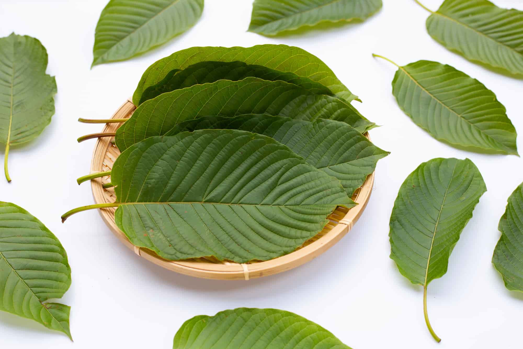 Different kratom strains and their best combinations.