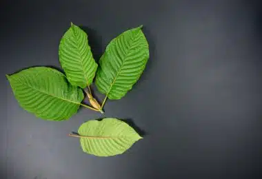 Kratom Legality in Alaska