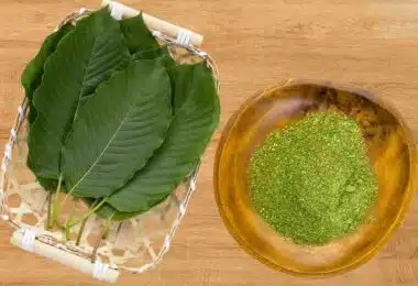 Kratom Legality in Minnesota in 2024