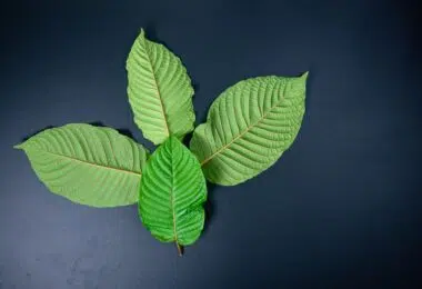 White Bali Kratom