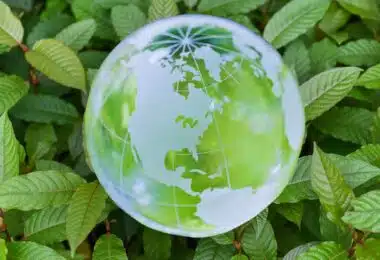 Global shifts and updates in kratom legalization.