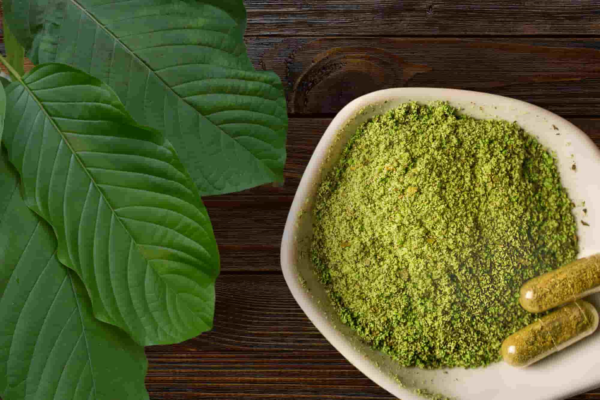 Current kratom regulations in Kentucky.