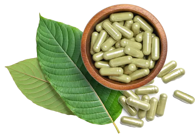 Kratom Capsules in Bowl with leaves