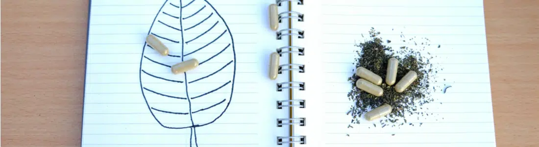 In-Depth Green Horn Kratom Strain Review: Benefits and Effects