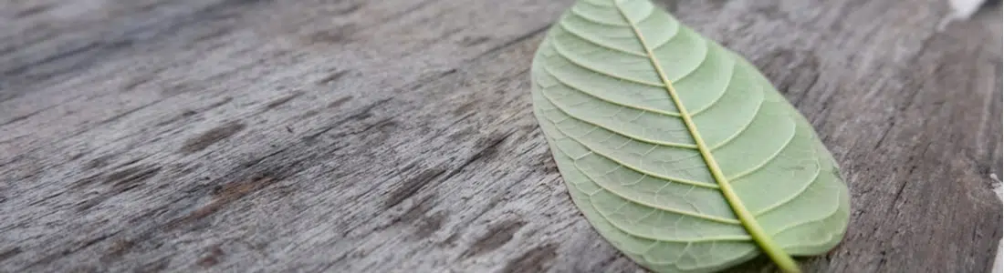 Kratom