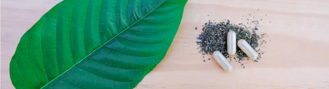 Malaysian Kratom: Benefits and Effects Guide