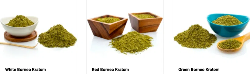 picture-of-different-type-of-borneo-kratom