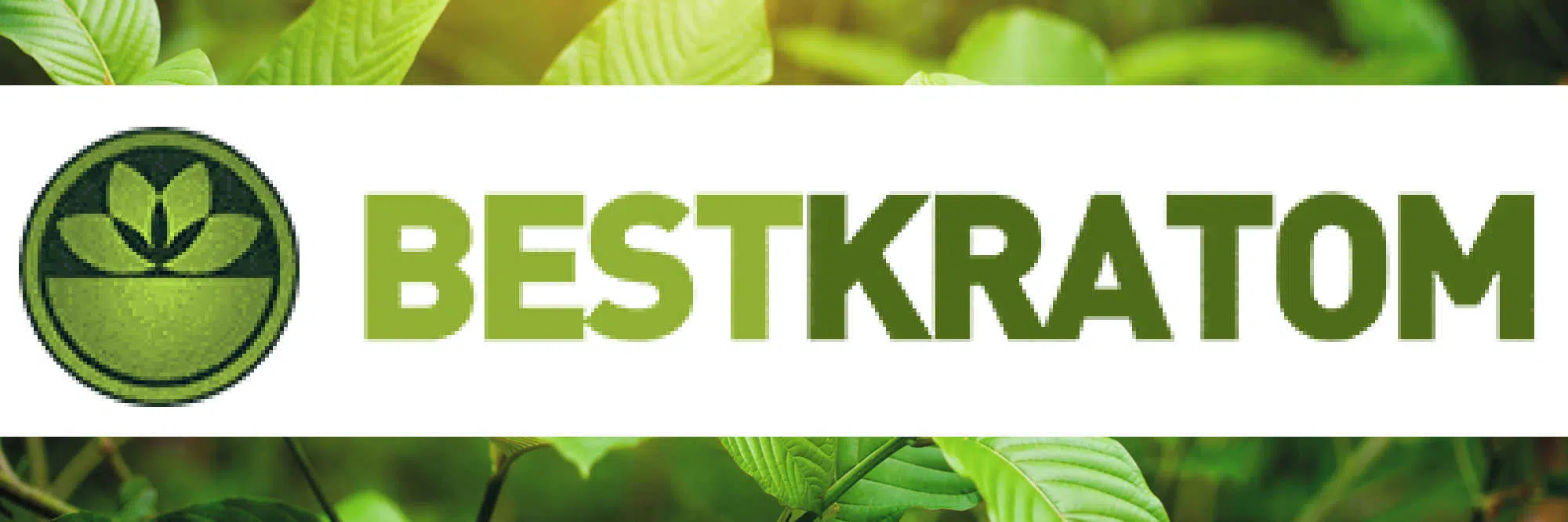 image of bestkratom.com logo