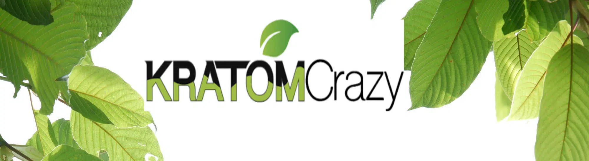 Our Picks for Best Online Kratom Powder Vendors