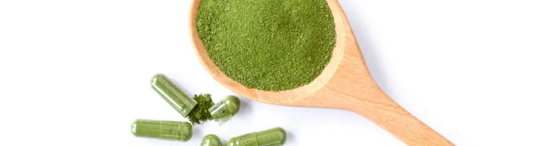 Sunda Kratom: Effects and Benefits Explained
