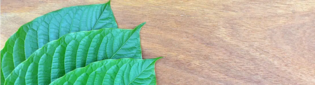 Super Green Kapuas Kratom Review: Health Benefits & Effects