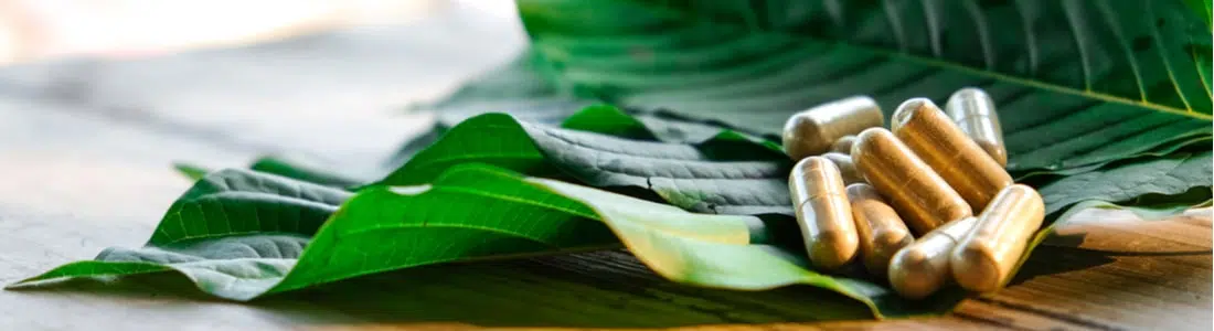 Detailed Review of Vietnam Kratom: Benefits, Uses, and Origin
