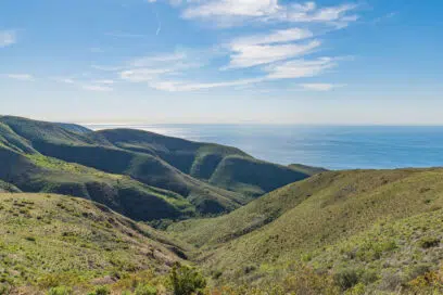 Is Kratom Legal in California? Everything You Need to Know