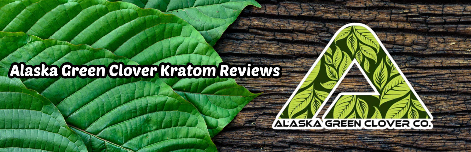 Alaska Green Clover: A Homegrown Kratom Brand You Need to Know About