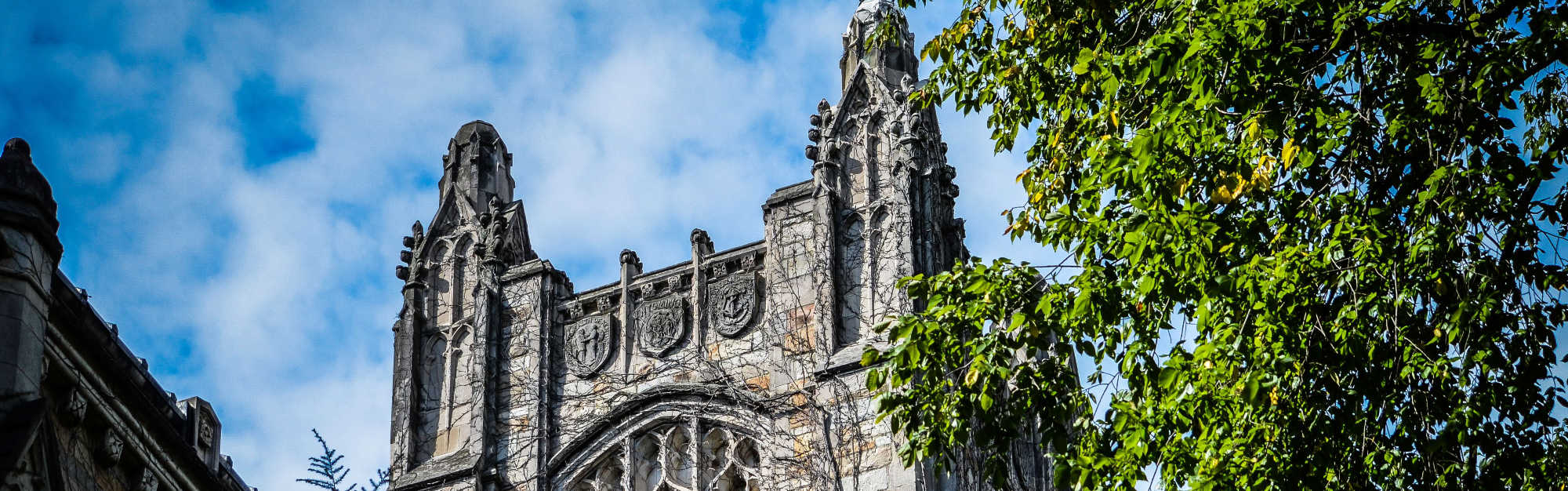 image of ann arbor mI