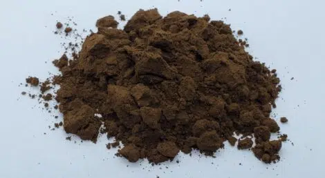 Pile of kratom leaf powder