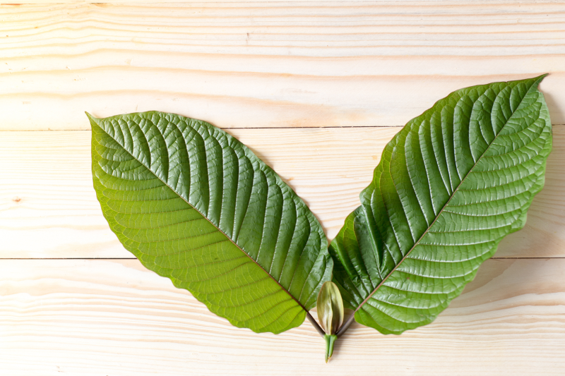 Kratom's legal status in Maine.