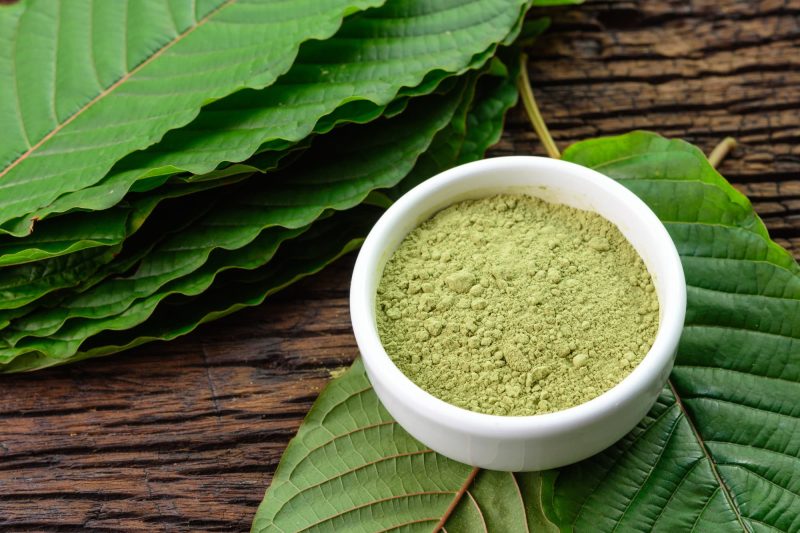 Kratom Legality In Alabama