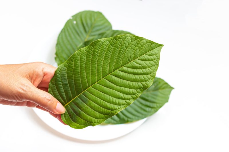Golden Monk best-selling kratom products