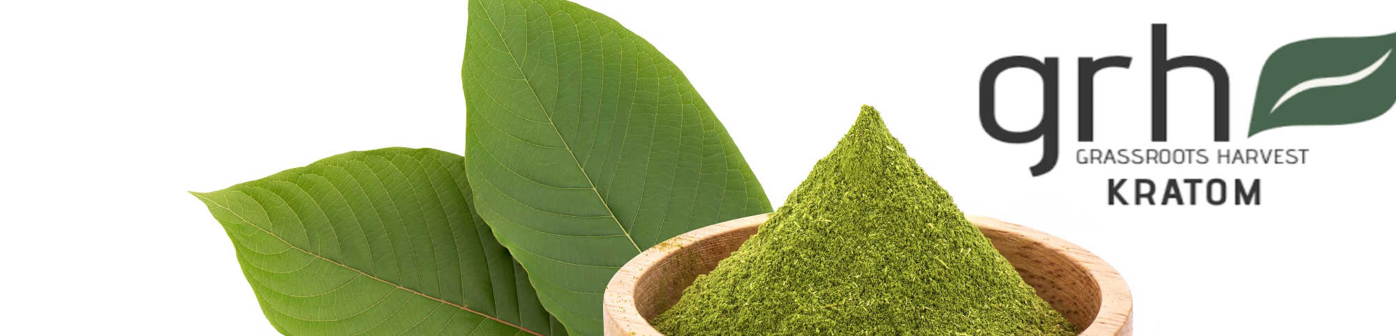 image of glass roots