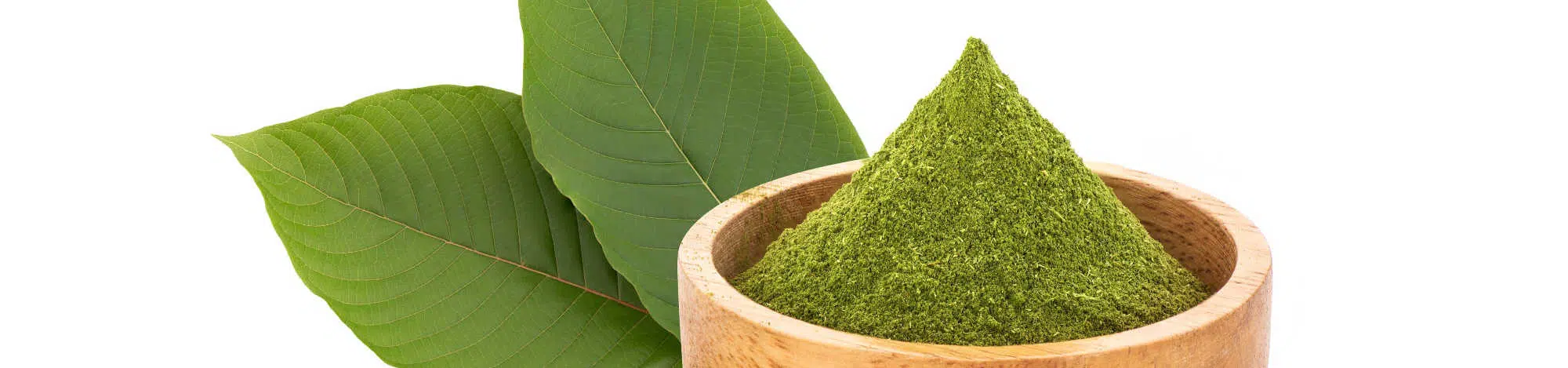 image of kratom leaves