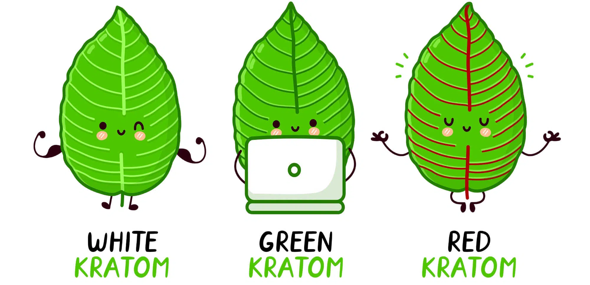 image of kratom leaves