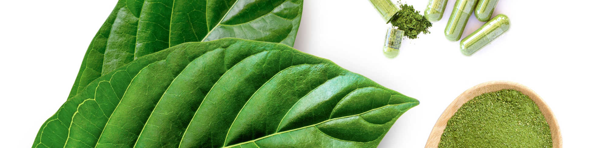 image of kratom leaves and capsules