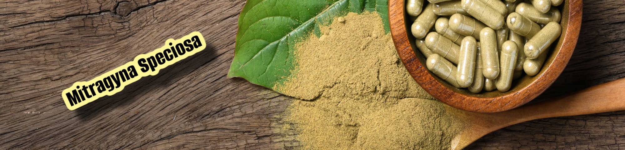 image of mitragyna speciosa