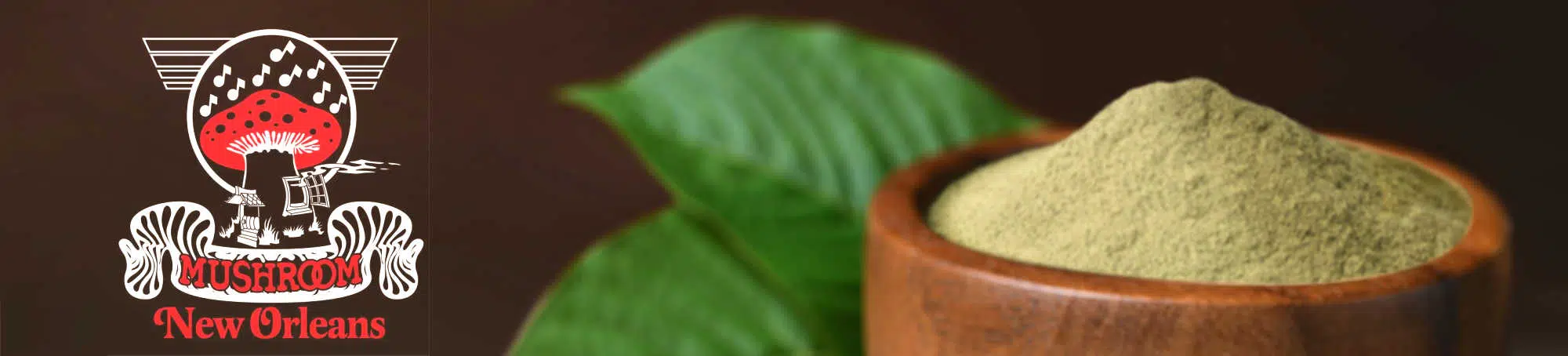 image of mushroom new orleans