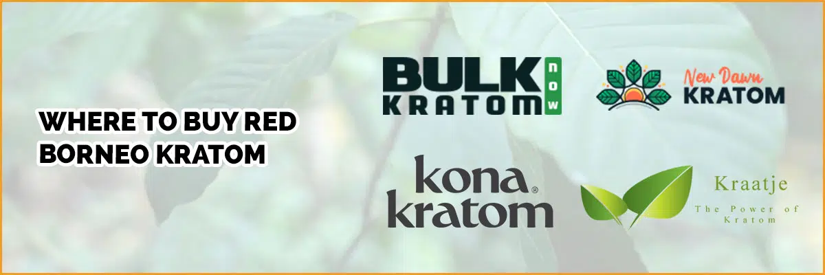 Where Should You Buy Red Borneo Kratom? Top Places to Try