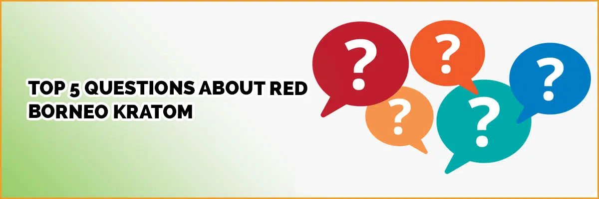 We Answer the Top Questions About Red Borneo Kratom
