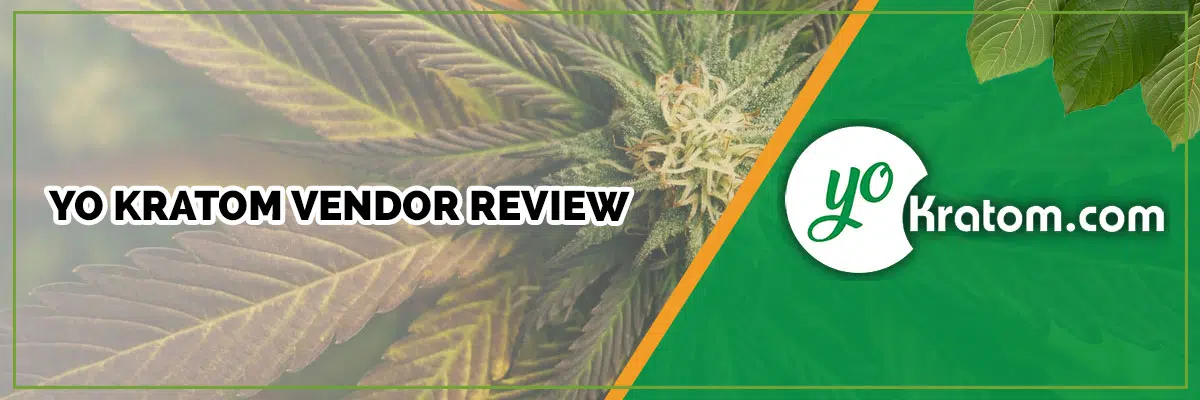 Yo Kratom Review: Product Quality & Pricing