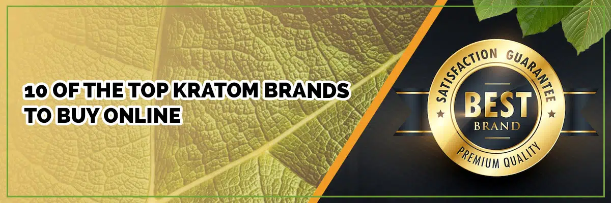 Top 10 Kratom Brands to Buy Online (not counting Golden Monk!)