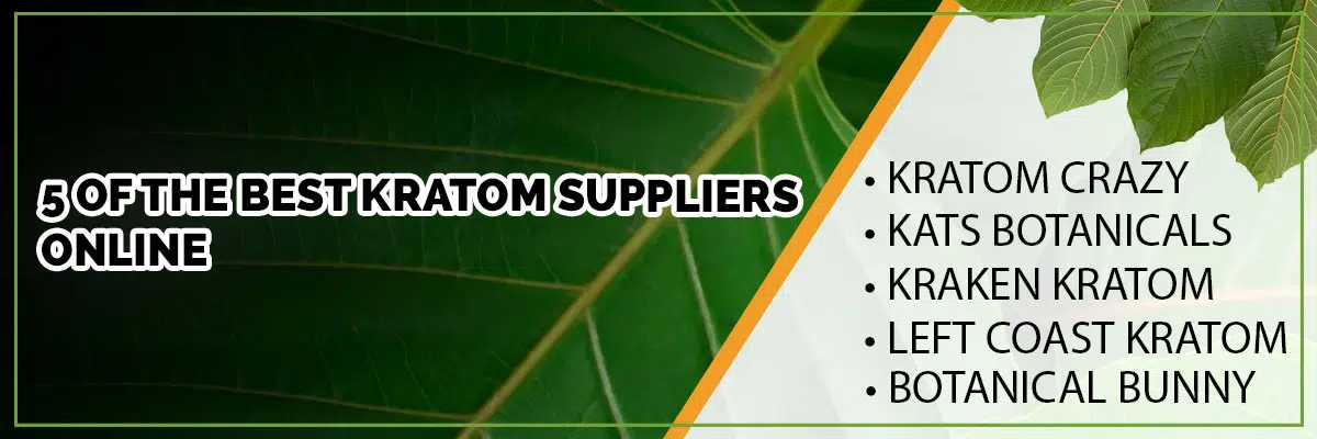 Our Top 5 Picks for Best Online Kratom Suppliers