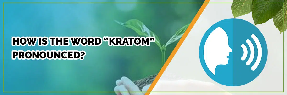 How is the Word “Kratom” Pronounced? A Quick Lesson in Phonetics