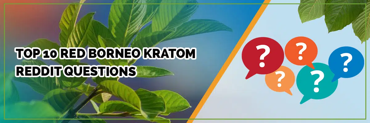 Top Red Borneo Kratom Reddit Questions Answered