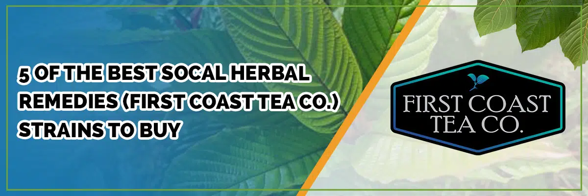 Our Picks for the Top 5 Kratom Strains from First Coast Tea Company