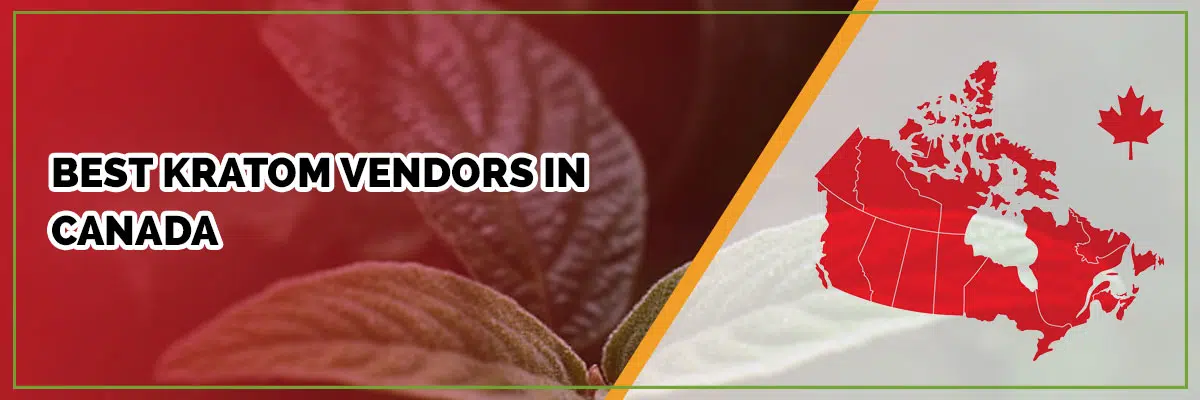 Kratom Vendors in Canada: A Guide to Selecting the Top Suppliers