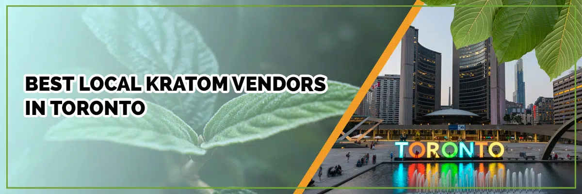Best Local Kratom Vendors in Toronto: The Ultimate Shopper’s Guide