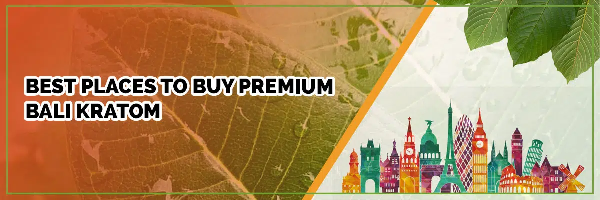 Check Out the Best Places to Buy Premium Bali Kratom