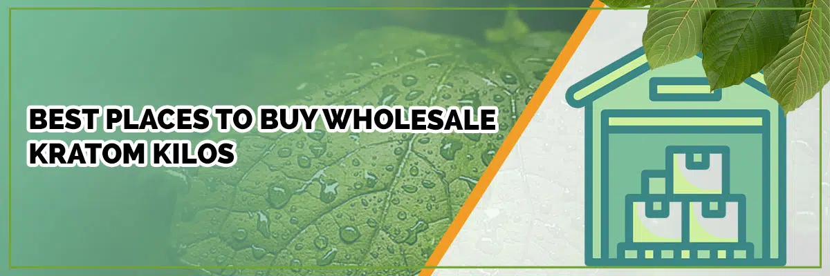 Find Out What Makes these Vendors Best for Wholesale Kratom Kilos