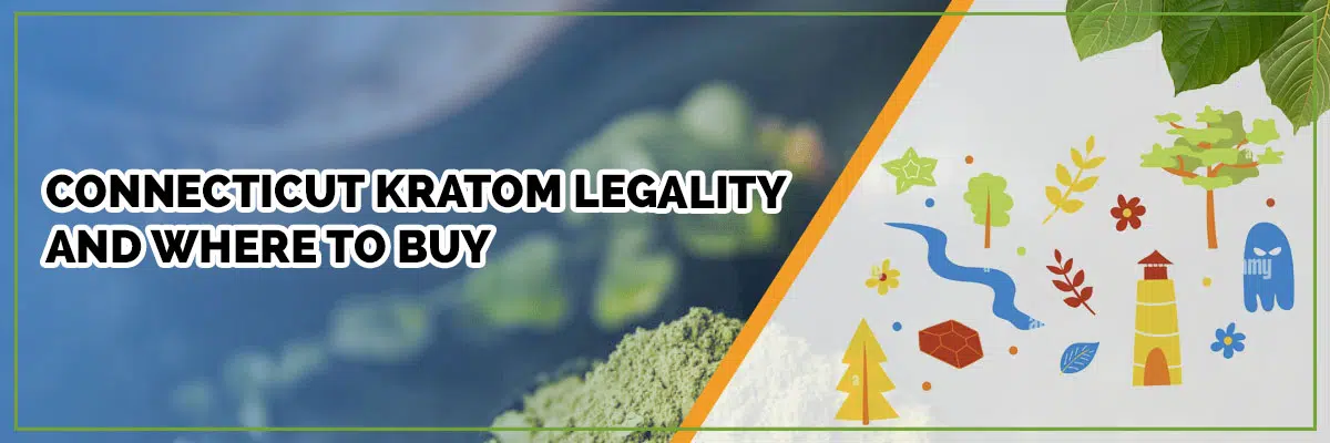 Where to Buy Kratom Locally in Connecticut: Top Picks and Tips