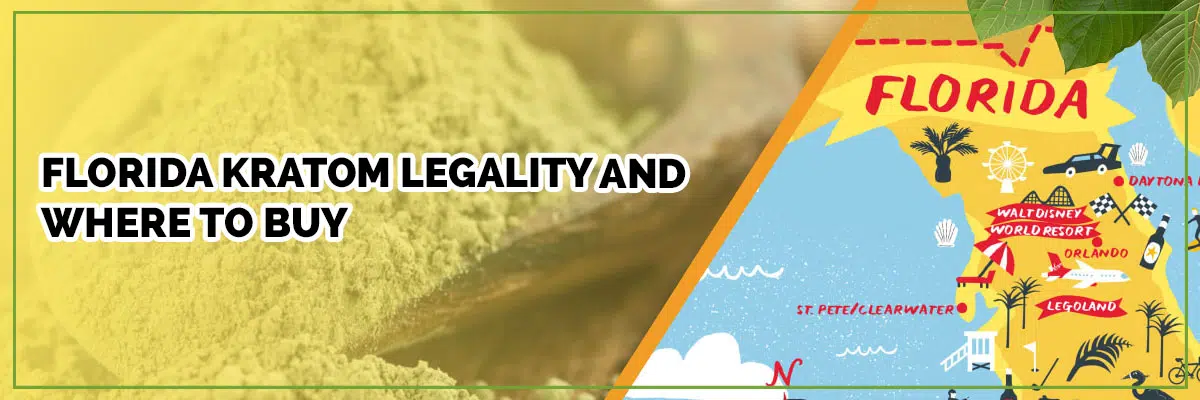 Seeking the Best Kratom Sellers in Florida? Here’s Your Updated List