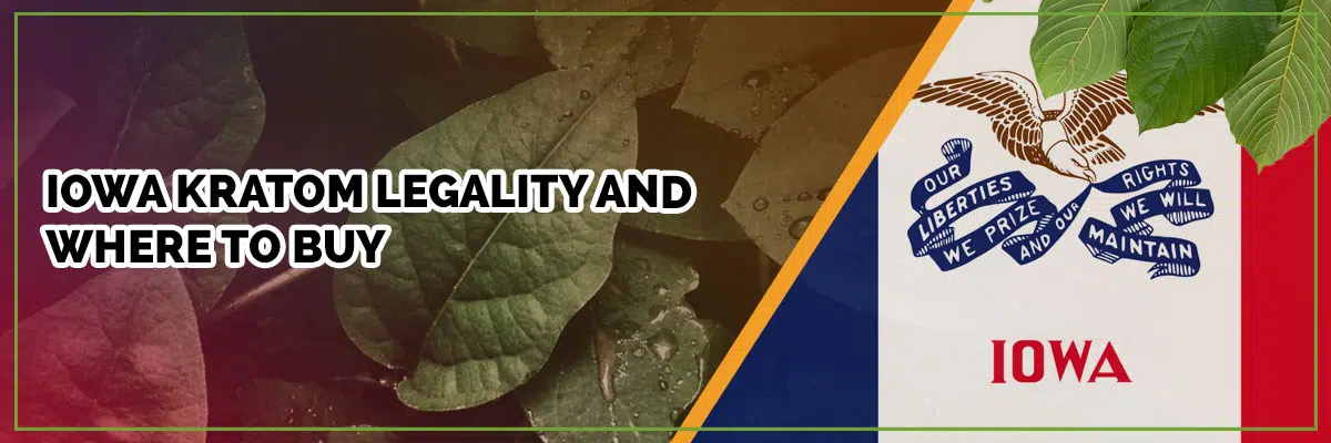 Where to Buy Kratom in Iowa: Find the Best Local Vendors