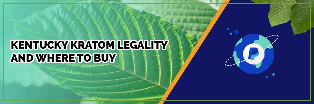 Kratom Vendors Who Accept Paypal—And Why Some Don’t