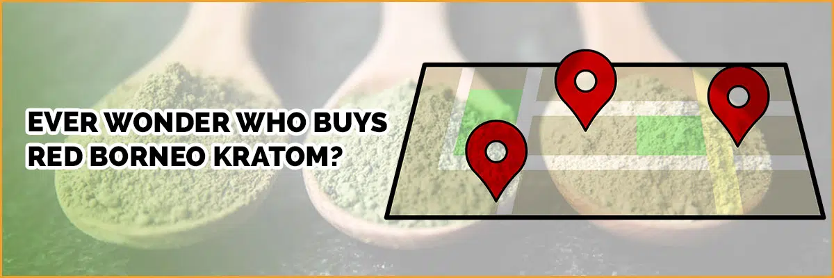 Ever Wonder Who Buys Red Borneo Kratom? A Guide for Kratom Consumers