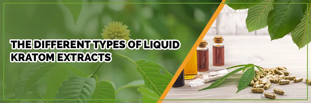 Learn about the Different Types of Liquid Kratom Extracts