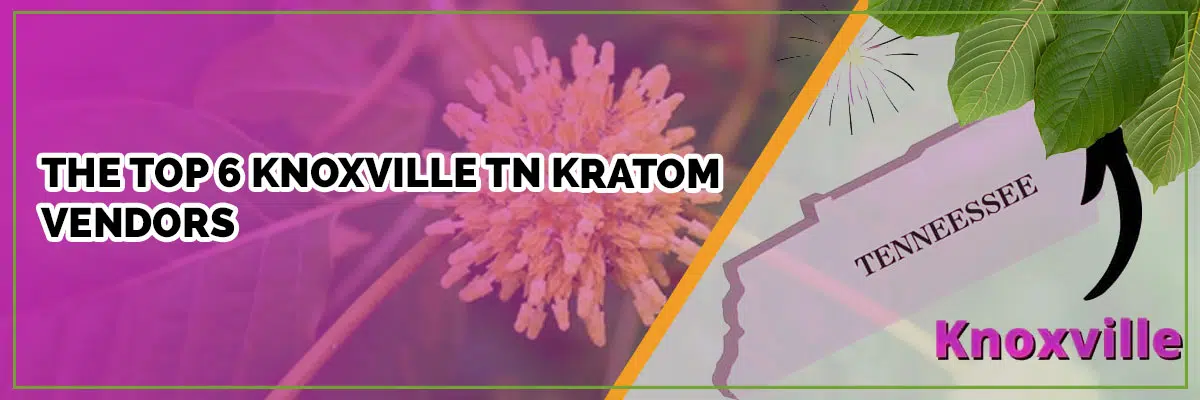 Best Kratom Vendors in Knoxville, TN: A Complete Guide