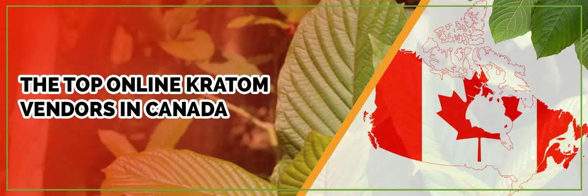 Headed North? Find the Top Online Kratom Vendors in Canada